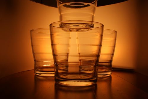 Fotografia de Eric - Galeria Fotografica: Miscel�Lanius - Foto: 