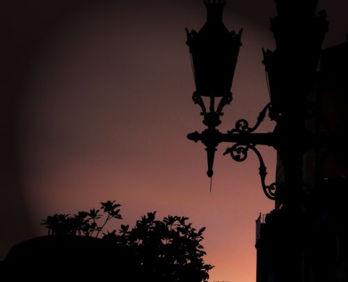 Fotografia de Eric - Galeria Fotografica: Miscel�Lanius - Foto: 