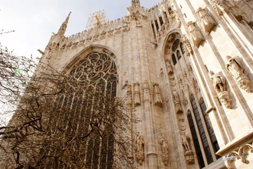 Fotografia de Eric - Galeria Fotografica: MiscelLanius - Foto: 