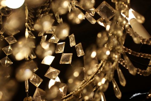 Fotografia de Eric - Galeria Fotografica: Miscel�Lanius - Foto: 