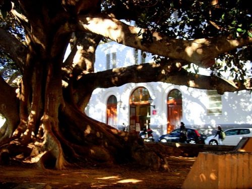 Fotografia de Diana Ruiz - Galeria Fotografica: Playita ♥ ♥ - Foto: 