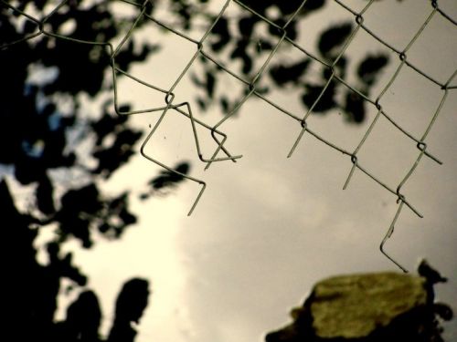 Fotografia de Lala - Galeria Fotografica: Naturaleza irrumpida - Foto: 