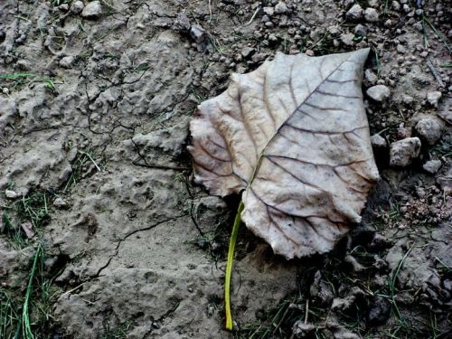 Fotografia de Lala - Galeria Fotografica: Naturaleza irrumpida - Foto: 