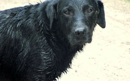 Fotografia de Lala - Galeria Fotografica: Naturaleza irrumpida - Foto: 