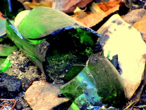 Fotografia de Lala - Galeria Fotografica: Naturaleza irrumpida - Foto: 