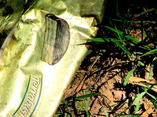 Fotografia de Lala - Galeria Fotografica: Naturaleza irrumpida - Foto: 