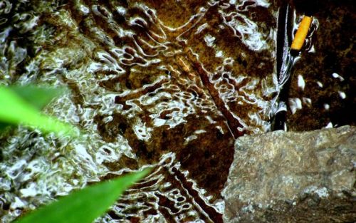 Fotografia de Lala - Galeria Fotografica: Naturaleza irrumpida - Foto: 