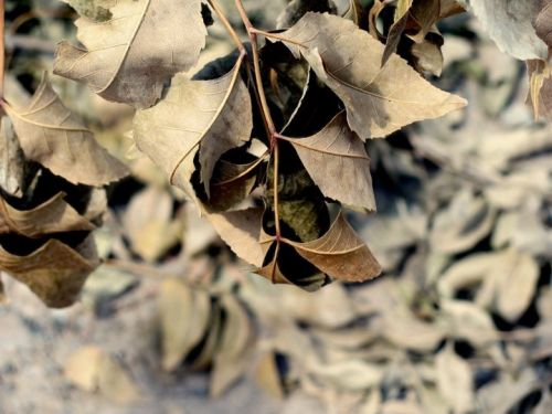 Fotografia de Lala - Galeria Fotografica: Naturaleza irrumpida - Foto: 