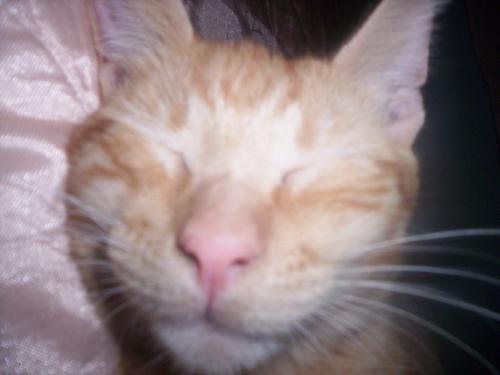 Fotografia de Marina - Galeria Fotografica: Vicente Le�n - Foto: Vicente Le�n