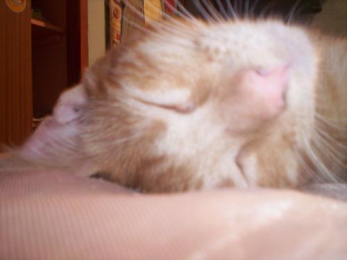 Fotografia de Marina - Galeria Fotografica: Vicente Le�n - Foto: Vicente Le�n