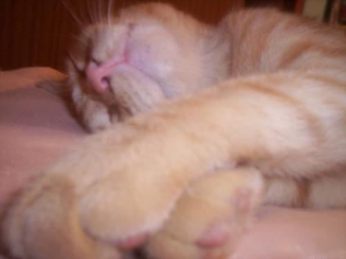 Fotografia de Marina - Galeria Fotografica: Vicente Le�n - Foto: Vicente Le�n