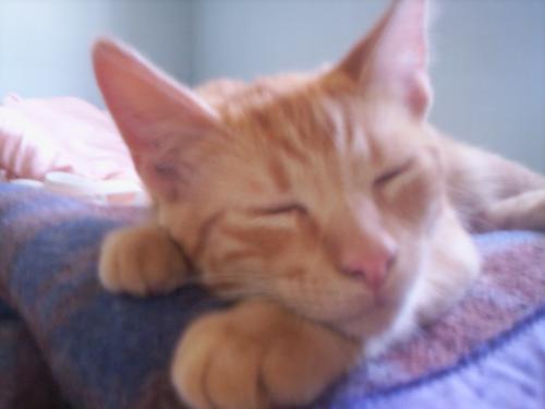 Fotografia de Marina - Galeria Fotografica: Vicente Le�n - Foto: Vicente Le�n