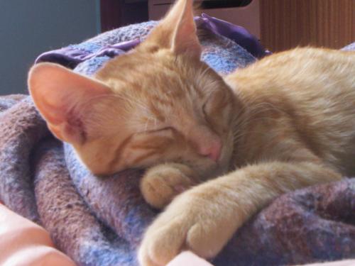 Fotografia de Marina - Galeria Fotografica: Vicente Le�n - Foto: Vicente Le�n