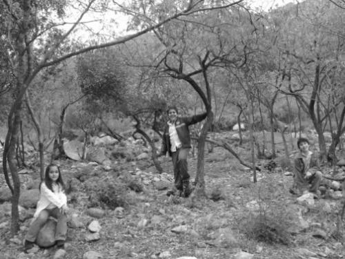 Fotografia de JAAM - Galeria Fotografica: SESION - Foto: 