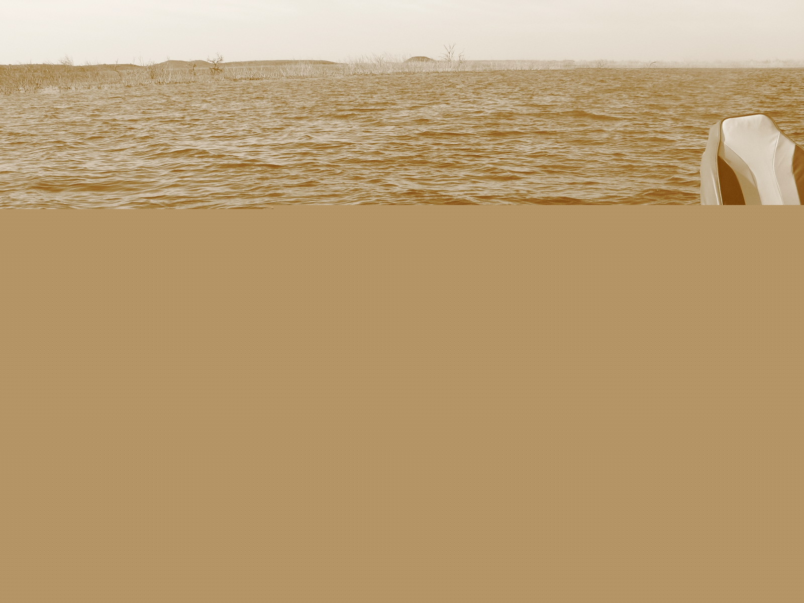 Fotografia de JAAM - Galeria Fotografica: CUCHILLO - Foto: 