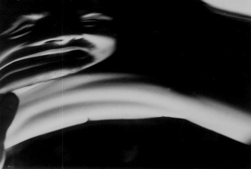 Fotografia de Florencia - Galeria Fotografica: Del cuerpo y sus reflejos - Foto: 