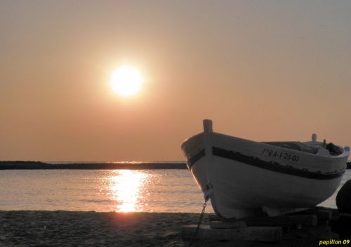 Fotografia de papillon - Galeria Fotografica: atardeceres - Foto: araceli