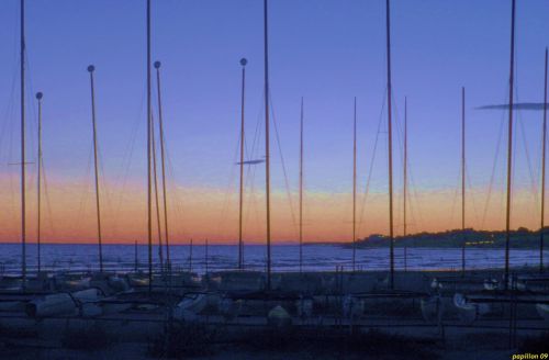 Fotografia de papillon - Galeria Fotografica: atardeceres - Foto: durmin