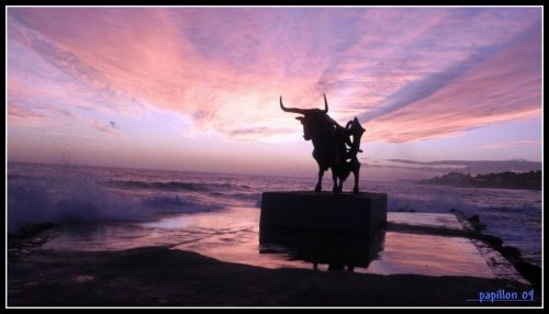 Fotografia de papillon - Galeria Fotografica: atardeceres - Foto: pasifae