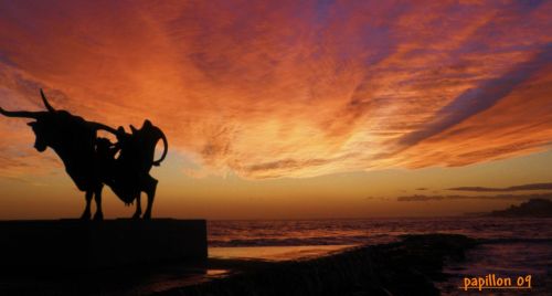 Fotografia de papillon - Galeria Fotografica: atardeceres - Foto: horizontes de color