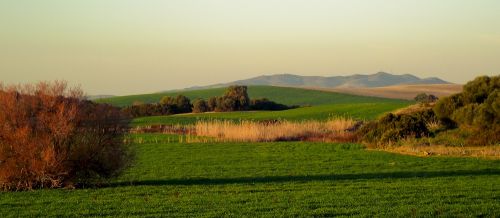 Fotografia de Oficina21 - Galeria Fotografica: Bornos - Foto: Buscando el equilibrio