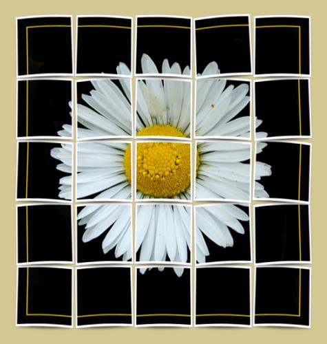 Fotografia de Cavallo - Galeria Fotografica: My photos - Foto: La Margarita