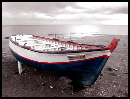 Fotografia de Cavallo - Galeria Fotografica: My photos - Foto: The boat