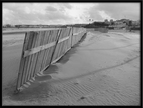 Fotografia de Cavallo - Galeria Fotografica: My photos - Foto: The Beach