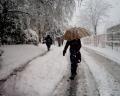 Foto de  shui - Galería: Nieve - Fotografía: paseo blanco