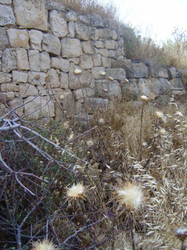 Fotografia de Mike Poch - Galeria Fotografica: rarorrural - Foto: 