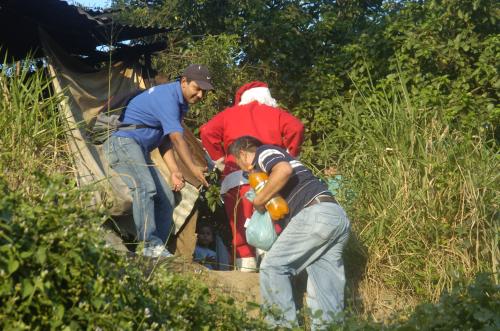 Fotografia de Diario La Prensa - Galeria Fotografica: Angela Bendeck							 - Foto: Uno para todos...						