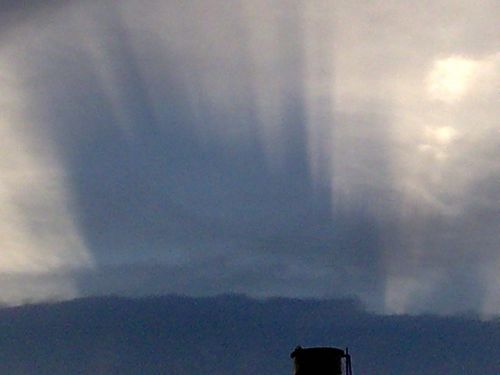 Fotografia de Maria - Galeria Fotografica: saludo de la naturaleza - Foto: 