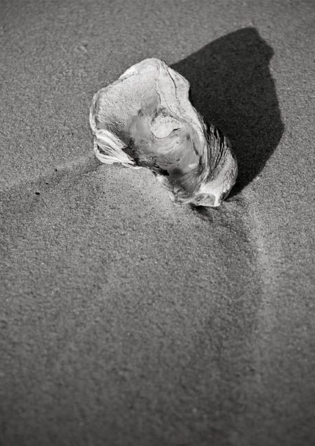 Fotografia de J.Henrquez - Galeria Fotografica: Aquitania - Foto: 