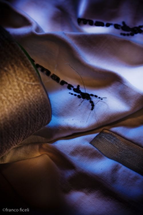 Fotografia de Studio Ficeli - Galeria Fotografica: Galileo - Foto: 