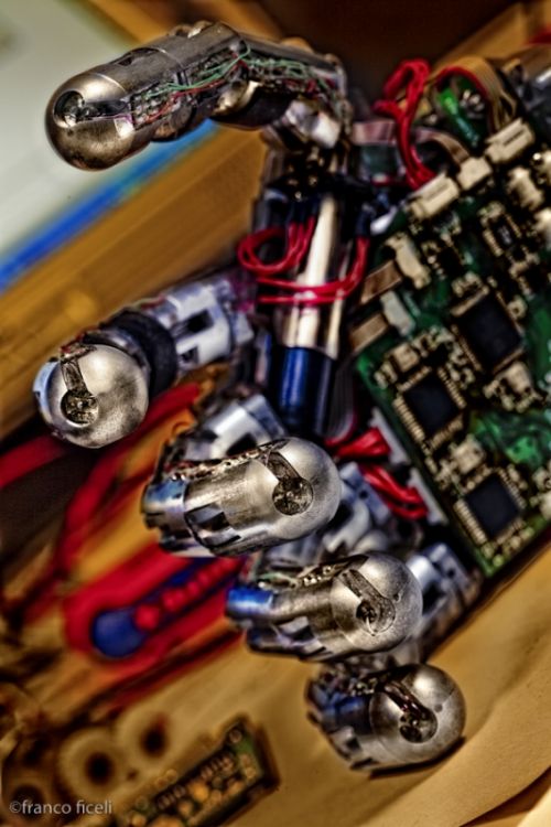 Fotografia de Studio Ficeli - Galeria Fotografica: Galileo - Foto: 