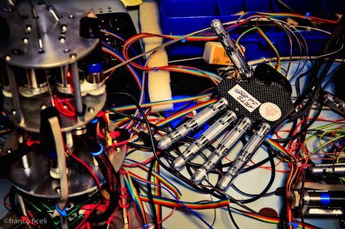 Fotografia de Studio Ficeli - Galeria Fotografica: Galileo - Foto: 