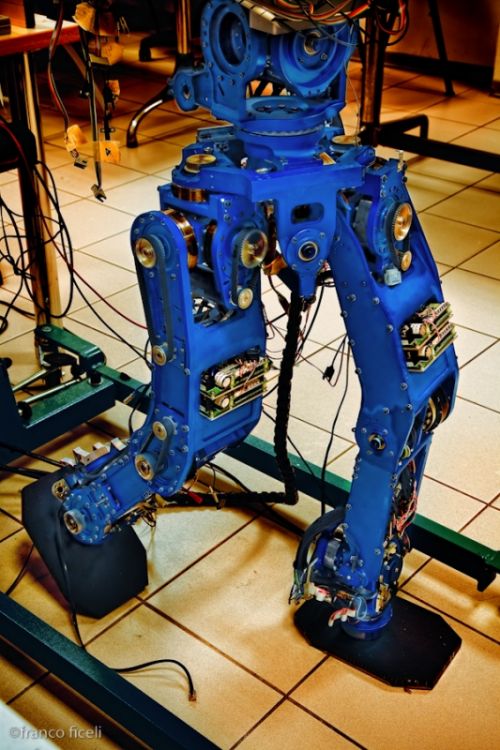 Fotografia de Studio Ficeli - Galeria Fotografica: Galileo - Foto: 