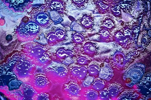 Fotografia de Studio Ficeli - Galeria Fotografica: Galileo - Foto: 