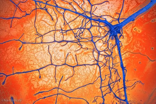 Fotografia de Studio Ficeli - Galeria Fotografica: Galileo - Foto: 