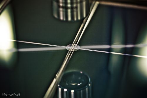 Fotografia de Studio Ficeli - Galeria Fotografica: Galileo - Foto: 