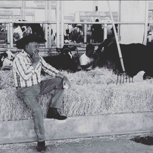 Fotografia de Joe Irineo - Galeria Fotografica: Portafolio - Foto: 