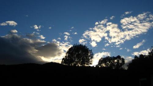 Fotografia de mauri - Galeria Fotografica: Formacion - Foto: arbol azul