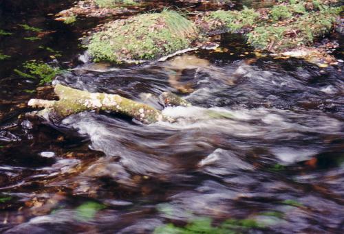 Fotografia de paco - Galeria Fotografica: vacaciones - Foto: Remontando