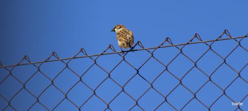 Fotografia de miguel loarte - Galeria Fotografica: COLOR - Foto: 								