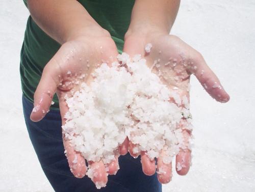 Fotografia de cecilia - Galeria Fotografica: jujuy-bolivia - Foto: esto es sal!