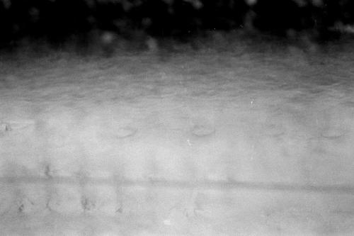 Fotografia de Sin Nombre - Galeria Fotografica: Contrastes - Foto: 