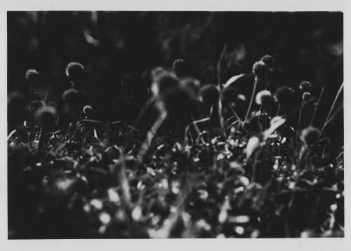 Fotografia de Sin Nombre - Galeria Fotografica: Contrastes - Foto: 