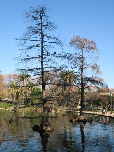 Fotografia de eduard - Galeria Fotografica: 