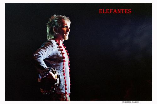 Fotografia de rebeca panizo - Galeria Fotografica: elefantes - Foto: ELEFANTES-02