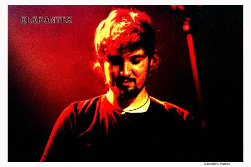 Fotografia de rebeca panizo - Galeria Fotografica: elefantes - Foto: ELEFANTES